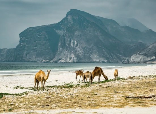 Musghail Beach Salalah oman